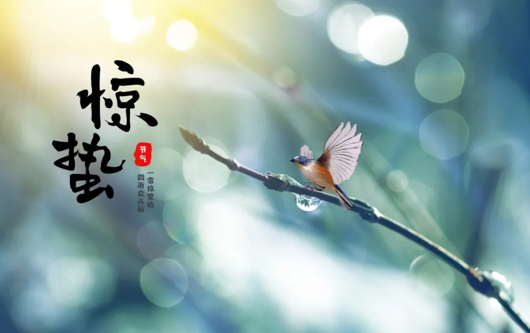 微量潤(rùn)滑油